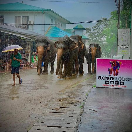 Elepath Lodge- Pinnawala Pinnawala  Ngoại thất bức ảnh