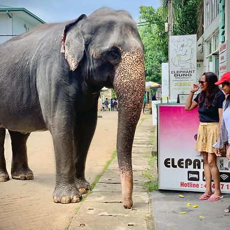 Elepath Lodge- Pinnawala Pinnawala  Ngoại thất bức ảnh