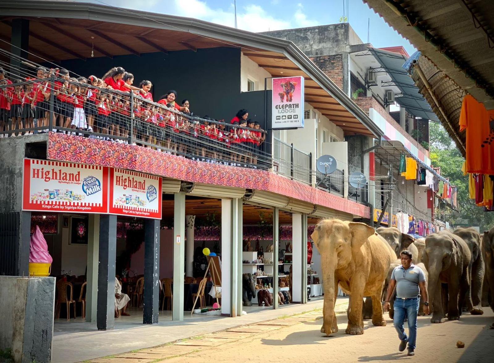 Elepath Lodge- Pinnawala Pinnawala  Ngoại thất bức ảnh