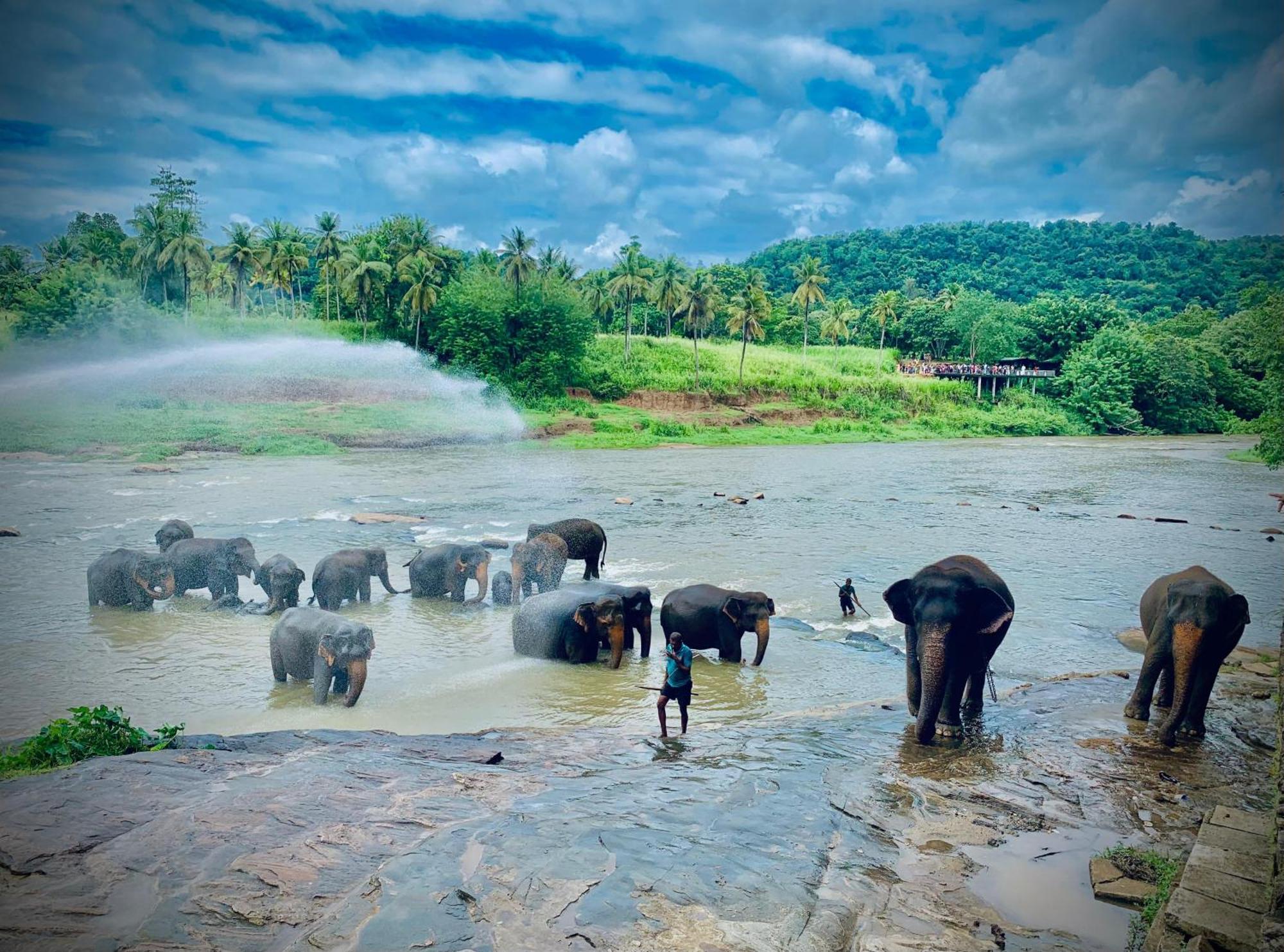 Elepath Lodge- Pinnawala Pinnawala  Ngoại thất bức ảnh