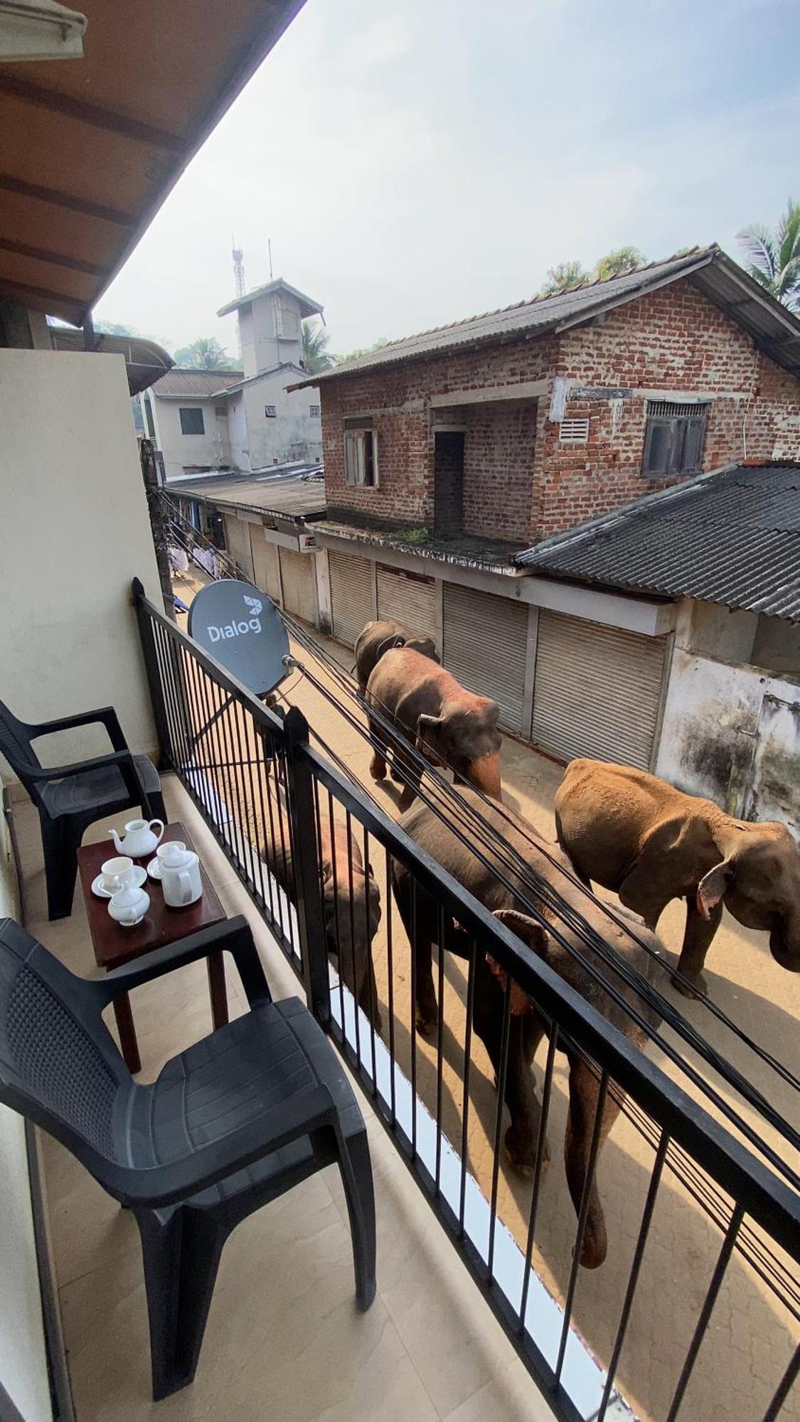 Elepath Lodge- Pinnawala Pinnawala  Ngoại thất bức ảnh